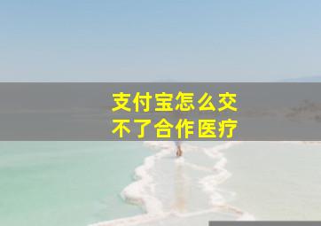 支付宝怎么交不了合作医疗