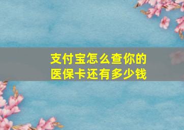 支付宝怎么查你的医保卡还有多少钱