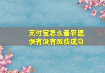 支付宝怎么查农医保有没有缴费成功