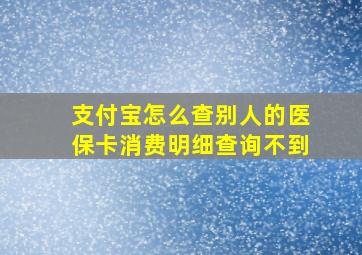 支付宝怎么查别人的医保卡消费明细查询不到