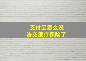 支付宝怎么没法交医疗保险了