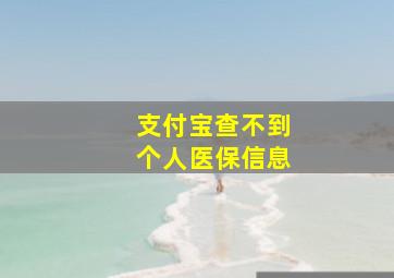 支付宝查不到个人医保信息