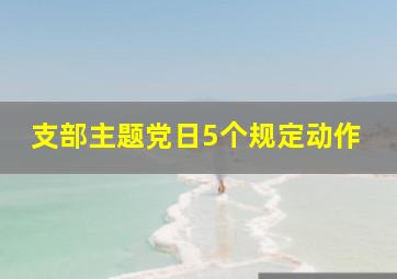 支部主题党日5个规定动作