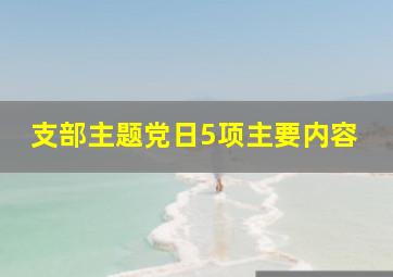 支部主题党日5项主要内容