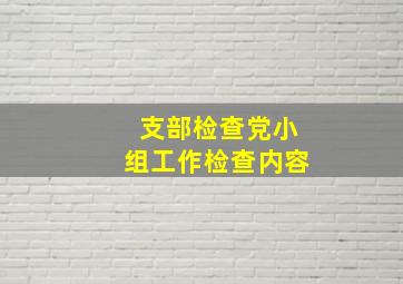 支部检查党小组工作检查内容