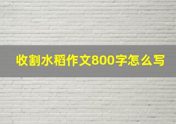 收割水稻作文800字怎么写