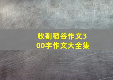 收割稻谷作文300字作文大全集