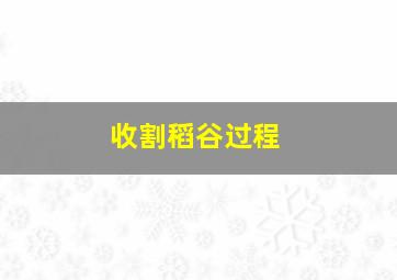 收割稻谷过程