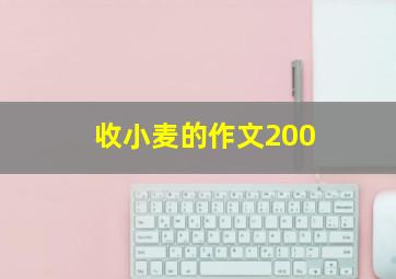 收小麦的作文200