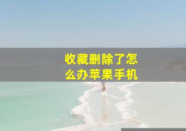 收藏删除了怎么办苹果手机