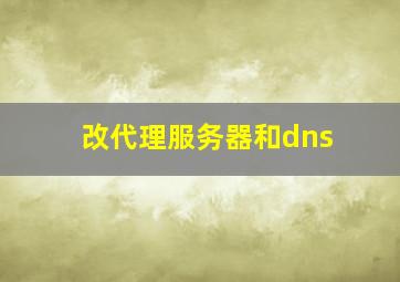 改代理服务器和dns