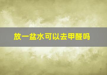 放一盆水可以去甲醛吗