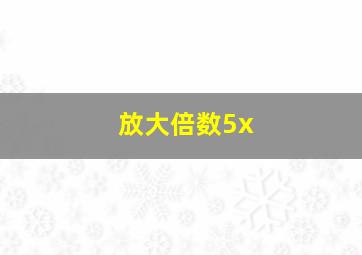 放大倍数5x