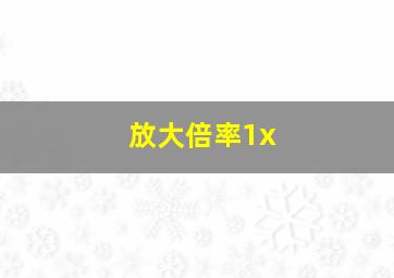 放大倍率1x