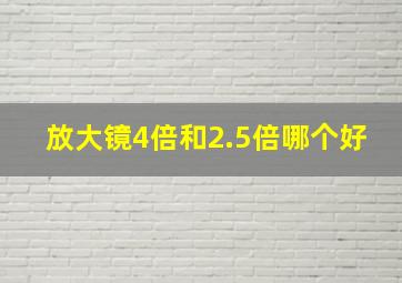 放大镜4倍和2.5倍哪个好