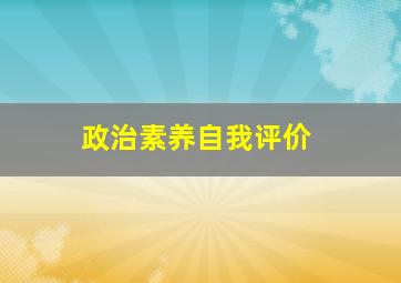 政治素养自我评价