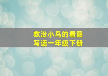 救治小鸟的看图写话一年级下册