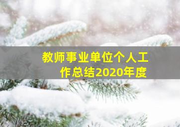 教师事业单位个人工作总结2020年度