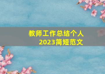 教师工作总结个人2023简短范文