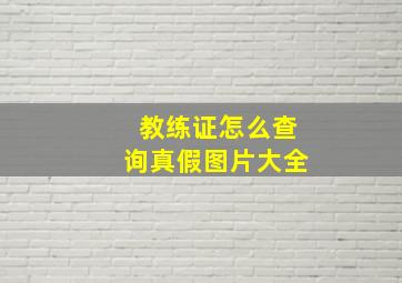 教练证怎么查询真假图片大全