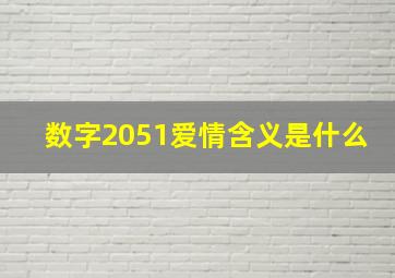 数字2051爱情含义是什么