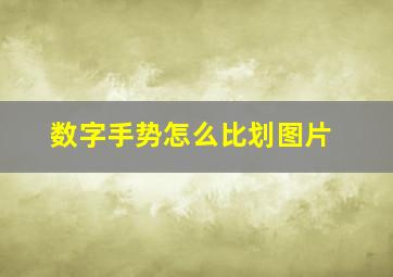 数字手势怎么比划图片