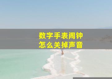 数字手表闹钟怎么关掉声音