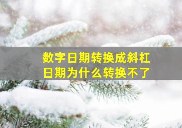 数字日期转换成斜杠日期为什么转换不了