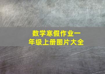 数学寒假作业一年级上册图片大全