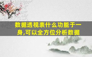 数据透视表什么功能于一身,可以全方位分析数据