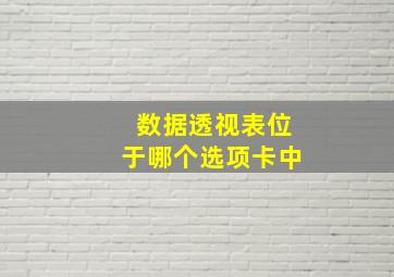 数据透视表位于哪个选项卡中