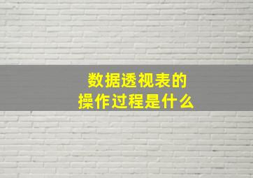 数据透视表的操作过程是什么