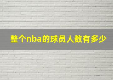 整个nba的球员人数有多少