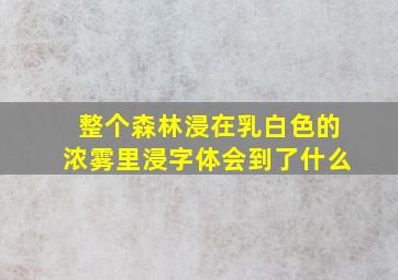 整个森林浸在乳白色的浓雾里浸字体会到了什么