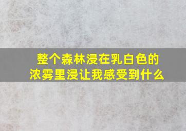 整个森林浸在乳白色的浓雾里浸让我感受到什么