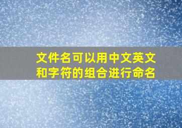 文件名可以用中文英文和字符的组合进行命名