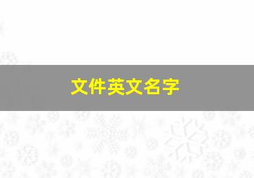 文件英文名字