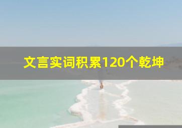 文言实词积累120个乾坤