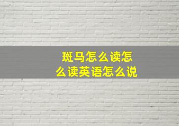 斑马怎么读怎么读英语怎么说