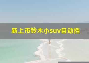 新上市铃木小suv自动挡