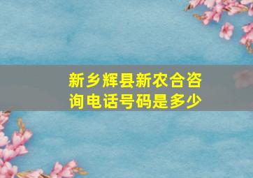 新乡辉县新农合咨询电话号码是多少