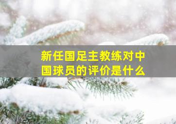 新任国足主教练对中国球员的评价是什么