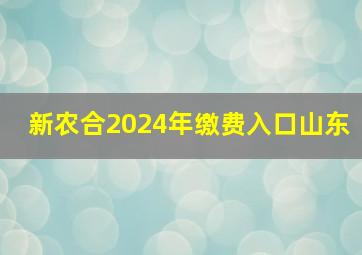 新农合2024年缴费入口山东