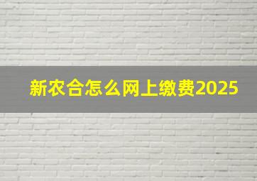 新农合怎么网上缴费2025