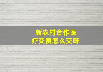 新农村合作医疗交费怎么交呀