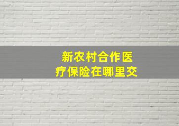 新农村合作医疗保险在哪里交