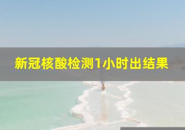 新冠核酸检测1小时出结果