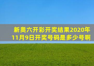 新奥六开彩开奖结果2020年11月9日开奖号码是多少号啊