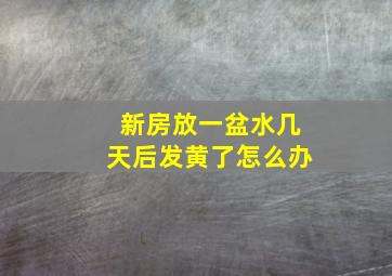 新房放一盆水几天后发黄了怎么办