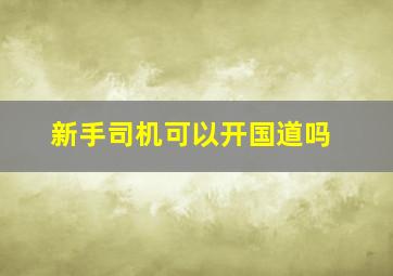 新手司机可以开国道吗